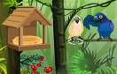 森林養鸚鵡遊戲 / 森林養鸚鵡 Game