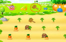 胡蘿蔔農場遊戲 / 胡蘿蔔農場 Game