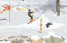 極限花式滑雪遊戲 / 極限花式滑雪 Game