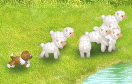 農場的小羊遊戲 / 農場的小羊 Game