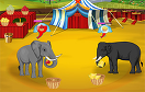 餵養馬戲團大象遊戲 / 餵養馬戲團大象 Game