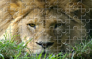 非洲雄獅拼圖遊戲 / 非洲雄獅拼圖 Game