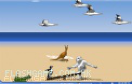 企鵝滑翔遊戲 / 企鵝滑翔 Game
