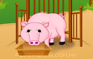 照顧可愛的小豬遊戲 / 照顧可愛的小豬 Game