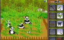 野生熊貓農場遊戲 / 野生熊貓農場 Game