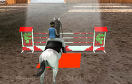 3D女孩騎馬遊戲 / 3D女孩騎馬 Game